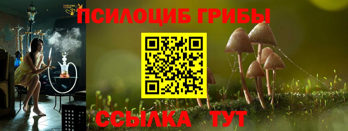 магазин    Вход с VPN  Таганрог  Галлюциногенные грибы Psilocybe 
